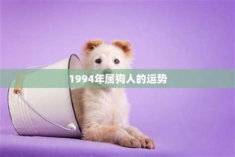 1994 狗